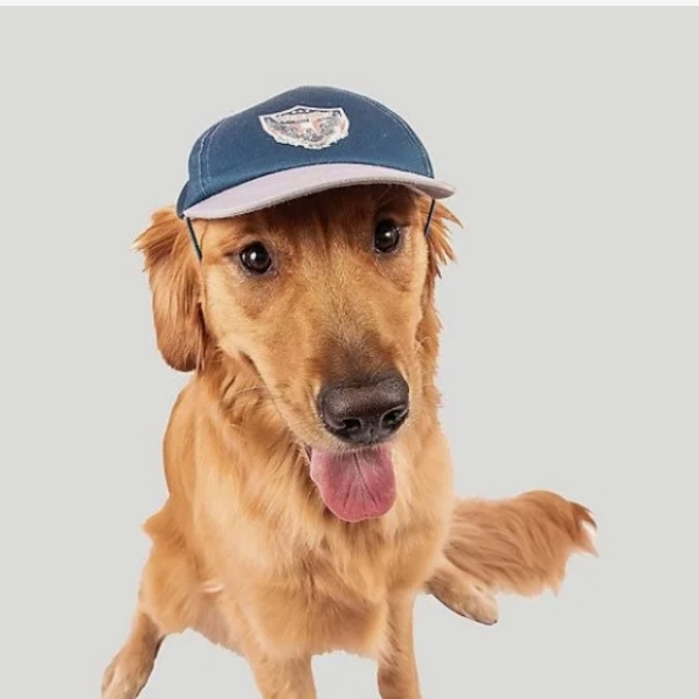 Wrangler Eagle Logo Baseball Pet Dog Cap Baseball Hat